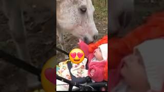 Heartwarming moment A horse is gently nuzzling and sniffing a baby 🥰 [upl. by Swenson]