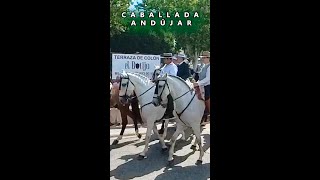 Caballada de Andújar [upl. by Ekyt]