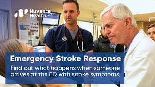 Time is Brain Stroke Treatment from Emergency Care to Recovery [upl. by Dyolf136]