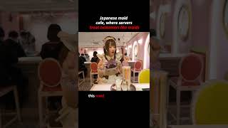 Japanese maid cafe where servers treat customers like maidsadayinmylife [upl. by Durkin645]