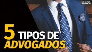 5 TIPOS DE ADVOGADOS  JRImperato [upl. by Eniamzaj79]