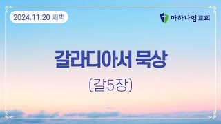 🔴LIVE 2024년 11월 20일 갈라디아서 5장 묵상 [upl. by Amiarom]