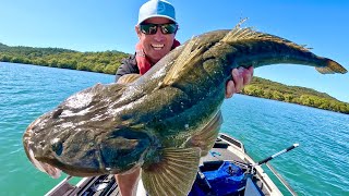 Catching 🐊HUGE FLATHEAD🐊fishing the flats [upl. by Carver]