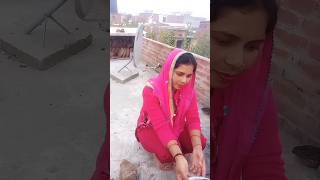 अकीला की चाय 🤣❌comedy memes funny entertainment akeela poonam shortvideos [upl. by Elynad]