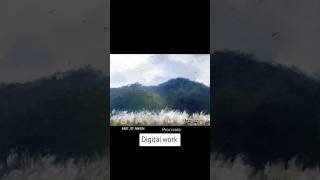 Digital landscape procreate procreatetips drawing landscape shorts viralvideo trending [upl. by Cathe]