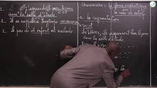 Cours Troisième  Français  Grammaire La forme emphatique ou la mise en relief Suite 1Mr Ndiaye [upl. by Iggie]