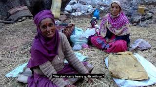 Fading pastoralism in Gaddi tribe of Himachal Pradesh  short film by Ashima Padiyal 2018 [upl. by Pearce]