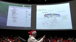 Glycogen Metabolism III  Kevin Aherns BB 450 Lecture 28 2016 [upl. by Dino864]