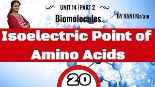 Isoelectric Point of Amino Acids I Part 20 I Biomolecules chemistry CBSE class 12 By Vani maam [upl. by Soloman]