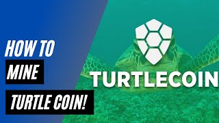 How to mine Turtle Coin with your CPU [upl. by Rohn]