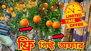 স্পেশাল ফ্রি গিফ্ট থাকছে সবার জন্য। বড়ো ঝাঁকড়া মাতৃগাছ পাবেন অনলাইনে। রেডি গাছ বসিয়েই ফল নিন। [upl. by Ennirroc116]