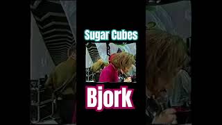 sugarcubesbjork alternativerock 19861992illurarfur [upl. by Zarla]