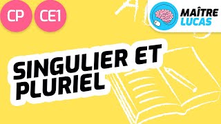 Le singulier et le pluriel CP  CE1  Cycle 2  Français  étude de la langue Lecture [upl. by Romalda862]