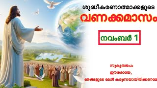 ശുദ്ധീകരണാത്മാക്കളുടെ വണക്കമാസം Souls in Purgatory November 1 [upl. by Aneeras]