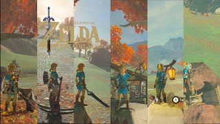 quotNEWquot NPC Weapons in Breath of the Wild BOTW MODS [upl. by Amethyst]