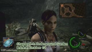 Resident Evil 5 BSAA Emblem Guide Chapter 51 [upl. by Satterfield]