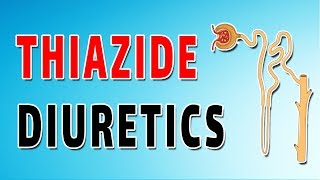 Thiazide Diuretics Mechanism and Side Effects [upl. by Arahsat]