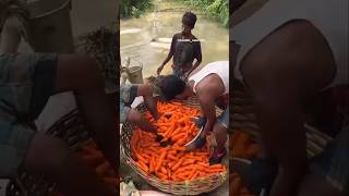 HOW TO EAT CARROT 😱😡 shorts tiktok keşfet beniöneçıkart funny [upl. by Alton]