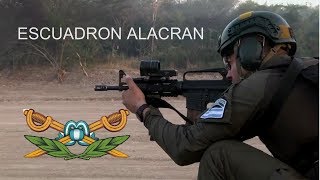 Fuerzas Especiales de la Gendarmeria Nacional Argentina ALACRAN  Argentine Gerndarmerie GIGN [upl. by Dihahs413]