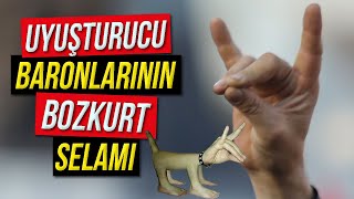 Uluslararası Uyuşturucu Baronlarına Bozkurt Selamı [upl. by Ilrebma]