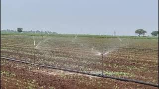 Sprinkler Irrigation [upl. by Gibbon]