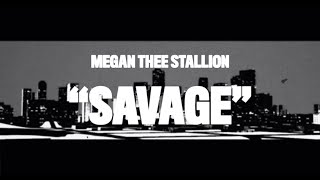 Megan Thee Stallion  Savage Animated Video [upl. by Leitnahs]