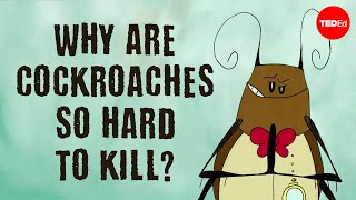 Why are cockroaches so hard to kill  Ameya Gondhalekar [upl. by Eliathan]