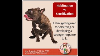 Habituation vs sensitization [upl. by Adoc]