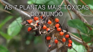 AS 7 PLANTAS MAIS TÓXICAS DO MUNDO 2016 HD [upl. by Sidalg]