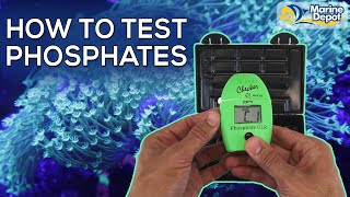 How To Test Phosphates In Your Reef Tank with the Hanna Checker  A simple stepbystep tutorial [upl. by Flossie]