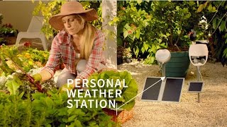 Personal Weather Stations and Gardening [upl. by Bilow]