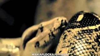 Waka Flocka Flame  Snakes In The Grass [upl. by Nalepka393]