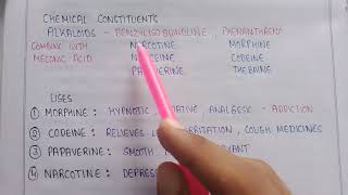 Opium alkaloids  chemical constituents of opium  morphine codeine thebaine  pharmacognosy 5th sem [upl. by Abdul]