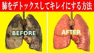 肺をデトックスしてキレイにする方法【肺、免疫、ビタミンD、がん予防、炎症】ドクター・バーグ [upl. by Corley11]