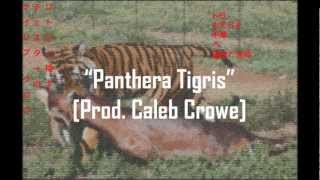 Chester Watson  quotPanthera Tigrisquot Prod Caleb Crowe [upl. by Akerdna841]