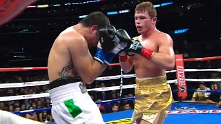 Canelo Alvarez Mexico vs Alfonso Gomez Mexico  KNOCKOUT Boxing Fight Highlights  HD [upl. by Lawler]