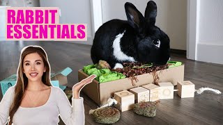 EVERYTHING YOU NEED FOR A RABBIT  The Complete Starter Pack [upl. by Eiramacissej]