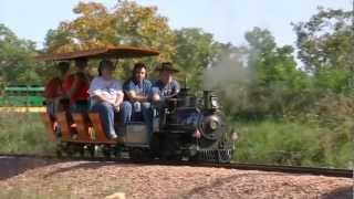 WRC Video 161  Impressive 15 in Gauge Railways [upl. by Yasmine126]