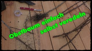 Obstbaum einfach selbst veredeln  vermehren Thumpfyland österreichischer Gartenyoutuber [upl. by Tur]