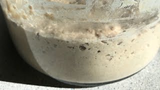 Sourdough Starter Recipe Part 2 [upl. by Ainimreh358]