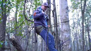 How to Climb a Tree using 4 Step Foot Ascender Loop Climbing Rope [upl. by Jolenta]