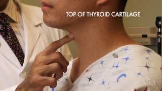 The Thyroid Exam Stanford Medicine 25 [upl. by Eizzo288]