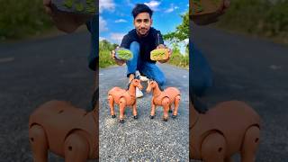 RC Remote Control Two Horse 🐎 Unboxing and Testing [upl. by Sherburn776]