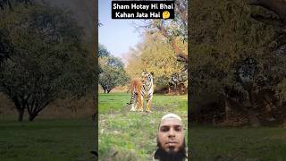 Sham Hotay Hi Bhai Kahan Jata Hai 🤔viralshort islamicvideo viralvideo [upl. by Eerihs272]