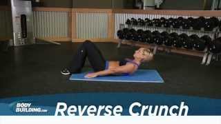 Reverse Crunch  Abs  Core Exercise  Bodybuildingcom [upl. by Alrahc271]