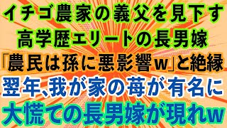 【スカッとする話】イチゴ農家の義父を見下す高学歴エリートの長男嫁「農民は孫に悪影響」と絶縁。→翌年、我が家のイチゴが有名に。慌てた長男嫁がやってきて [upl. by Atwahs]