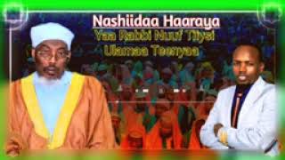 New Nashida eybisaa ulamii irratti shen musaa sualaa Abdurahaman huseen sher layki subscribe goddha [upl. by Wilen]