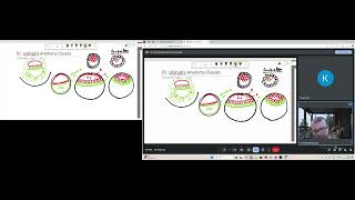 Embryology Simplified Notochord Formation Explained [upl. by Sible]