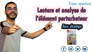 Tronc commun  Lecture et analyse de lélément perturbateur de Aux champs  أبسط شرح للقصة 🔥 [upl. by Oppen]