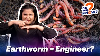 Why Earthworms Are Important  ISH News [upl. by Ennaer]